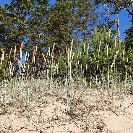 Splife Semi-detached * Kuru