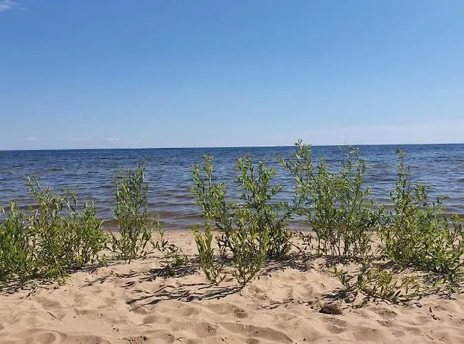 Splife Semi-detached Kuru